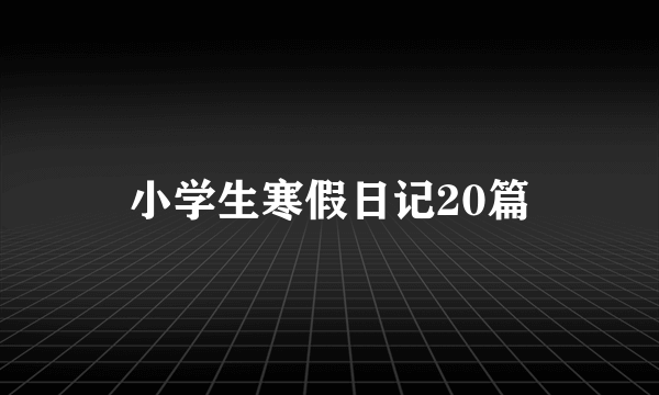 小学生寒假日记20篇