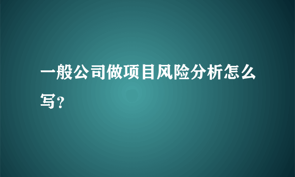 一般公司做项目风险分析怎么写？