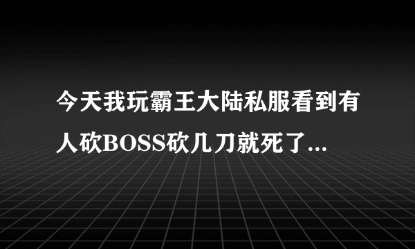 今天我玩霸王大陆私服看到有人砍BOSS砍几刀就死了，这是上挂吗？