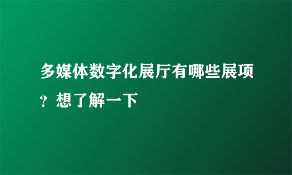 多媒体数字化展厅有哪些展项？想了解一下