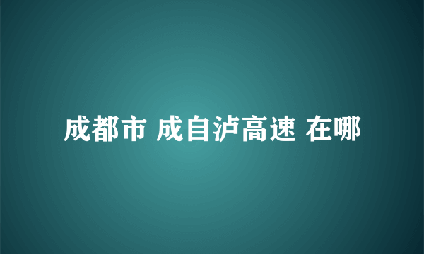 成都市 成自泸高速 在哪