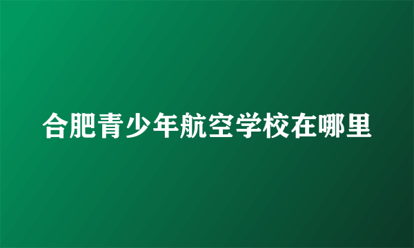 合肥青少年航空学校在哪里