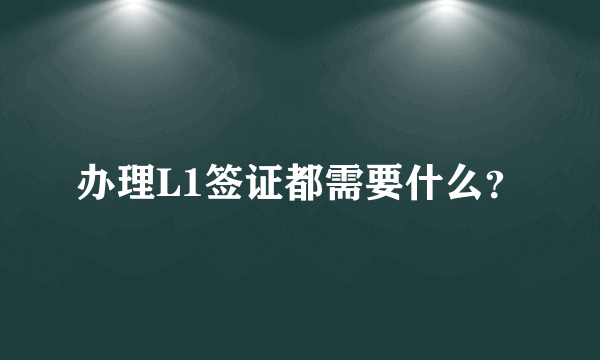 办理L1签证都需要什么？