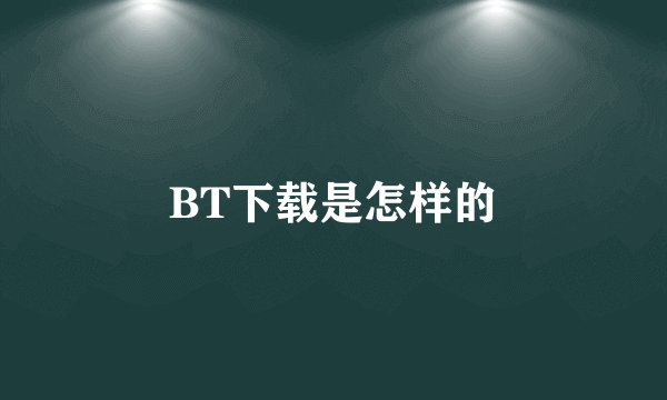 BT下载是怎样的