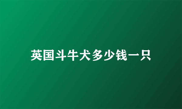 英国斗牛犬多少钱一只