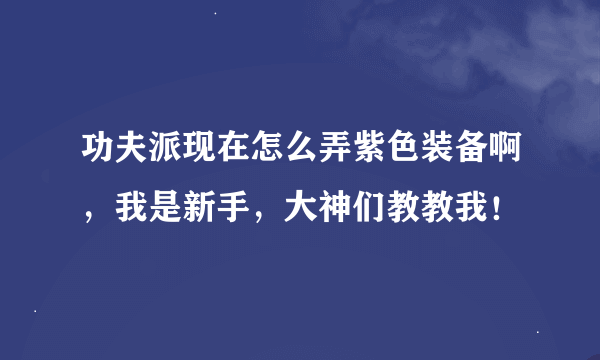 功夫派现在怎么弄紫色装备啊，我是新手，大神们教教我！