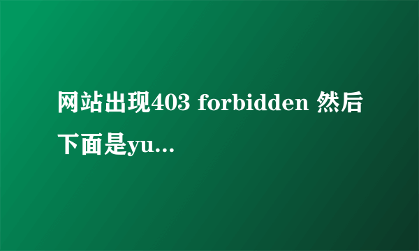 网站出现403 forbidden 然后下面是yundun是什么问题