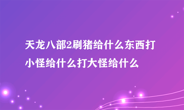 天龙八部2刷猪给什么东西打小怪给什么打大怪给什么