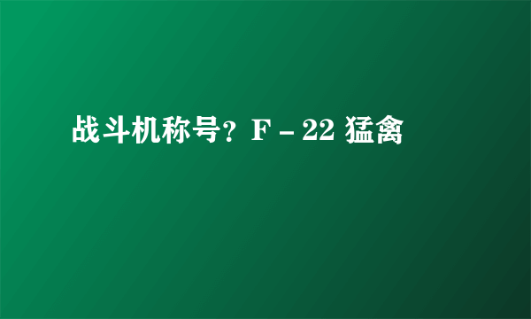 战斗机称号？F－22 猛禽