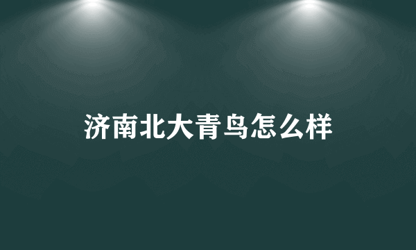 济南北大青鸟怎么样