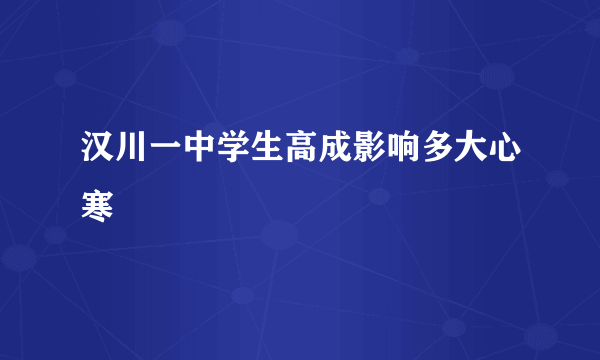 汉川一中学生高成影响多大心寒