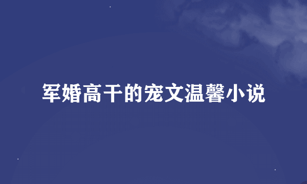 军婚高干的宠文温馨小说