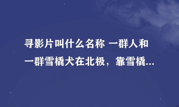 寻影片叫什么名称 一群人和一群雪橇犬在北极，靠雪橇犬人获救了，后来人们又回来找雪橇犬