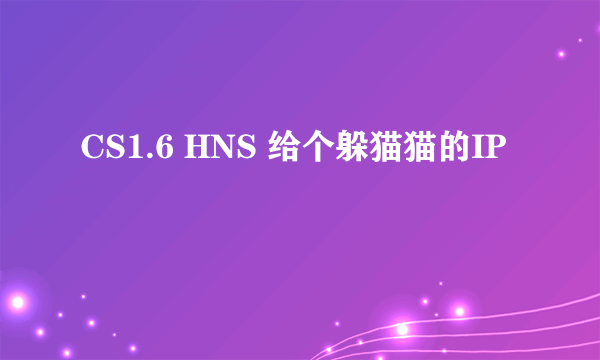 CS1.6 HNS 给个躲猫猫的IP