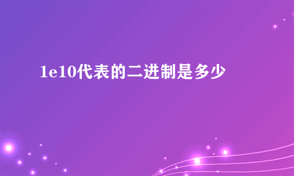 1e10代表的二进制是多少