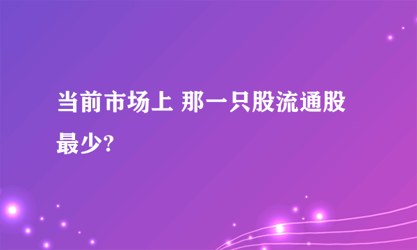 当前市场上 那一只股流通股最少?