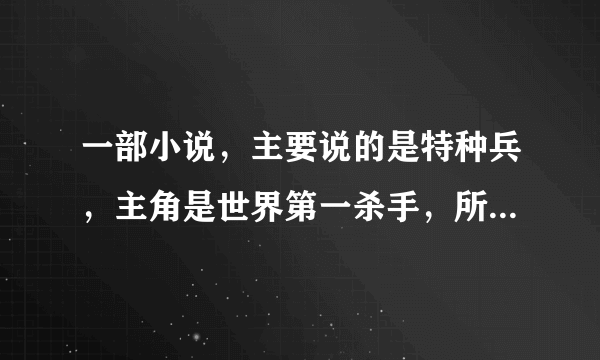 一部小说，主要说的是特种兵，主角是世界第一杀手，所有的杀手都惧怕