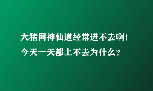 大猪网神仙道经常进不去啊！今天一天都上不去为什么？