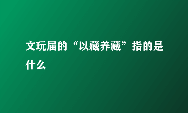 文玩届的“以藏养藏”指的是什么