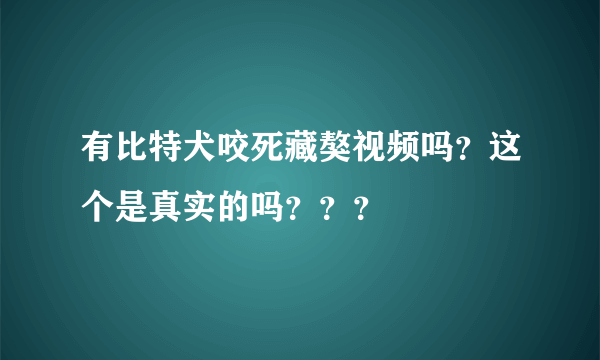 有比特犬咬死藏獒视频吗？这个是真实的吗？？？