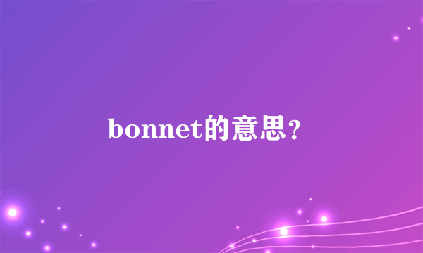 bonnet的意思？