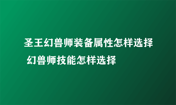 圣王幻兽师装备属性怎样选择 幻兽师技能怎样选择