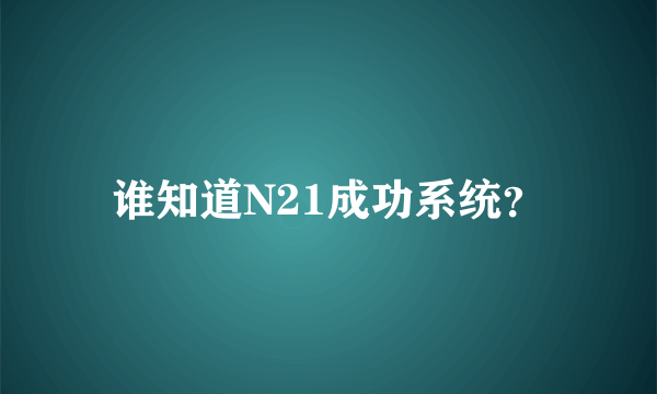 谁知道N21成功系统？