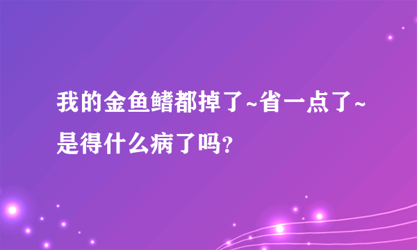 我的金鱼鳍都掉了~省一点了~是得什么病了吗？