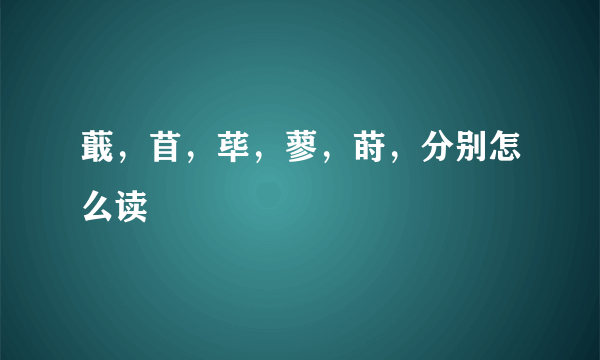 蕺，苜，荜，蓼，莳，分别怎么读