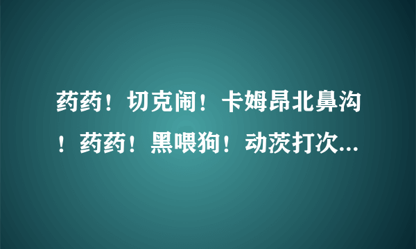 药药！切克闹！卡姆昂北鼻沟！药药！黑喂狗！动茨打次懂次达此动懂次！