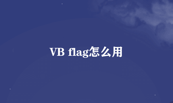 VB flag怎么用