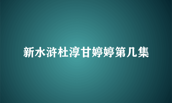 新水浒杜淳甘婷婷第几集