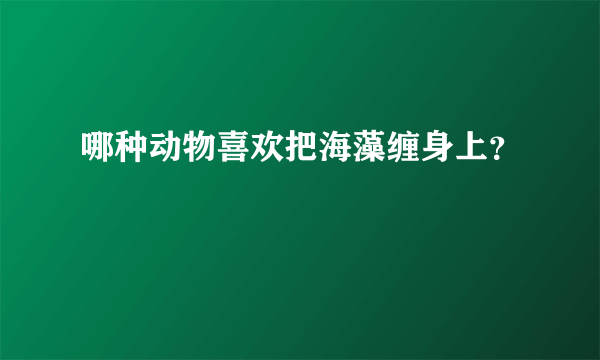 哪种动物喜欢把海藻缠身上？