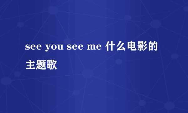 see you see me 什么电影的主题歌