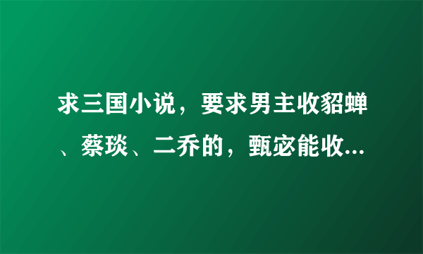 求三国小说，要求男主收貂蝉、蔡琰、二乔的，甄宓能收就收，感情写的到位一点，完本。