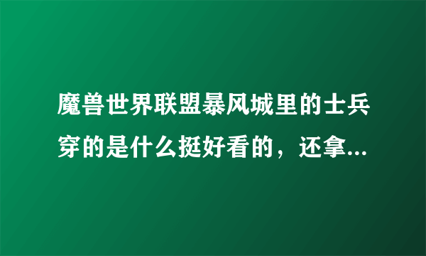 魔兽世界联盟暴风城里的士兵穿的是什么挺好看的，还拿个联盟标志的盾牌，我想弄一套不知道哪能弄。