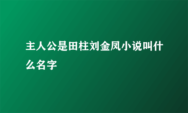 主人公是田柱刘金凤小说叫什么名字