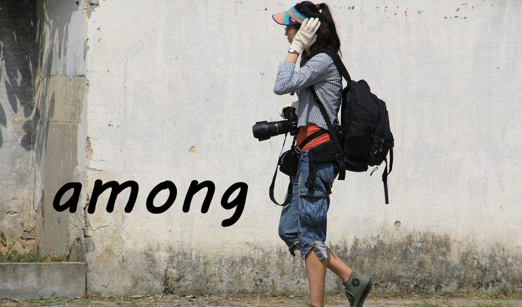 单词“among”是什么意思？