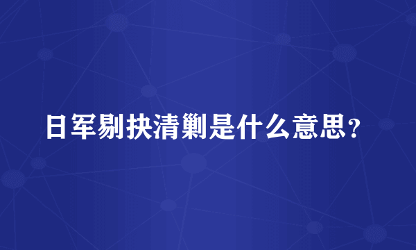 日军剔抉清剿是什么意思？