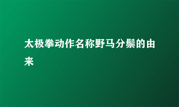 太极拳动作名称野马分鬃的由来