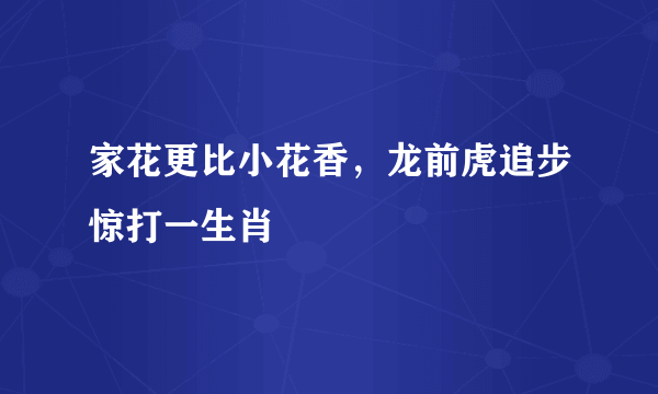 家花更比小花香，龙前虎追步惊打一生肖