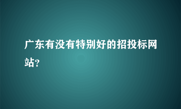 广东有没有特别好的招投标网站？