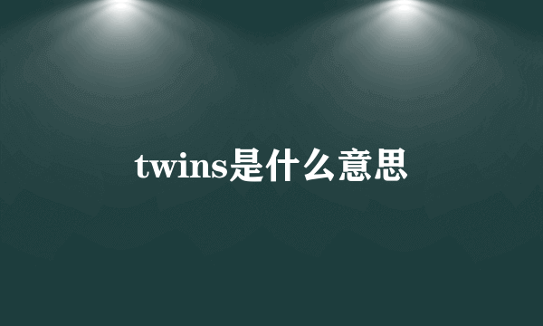 twins是什么意思