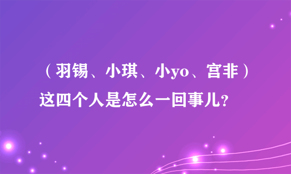 （羽锡、小琪、小yo、宫非）这四个人是怎么一回事儿？