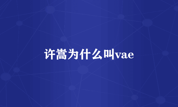 许嵩为什么叫vae