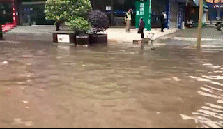 河南南阳遭到了暴雨袭击，临街商铺被淹，居民是如何展开自救的？