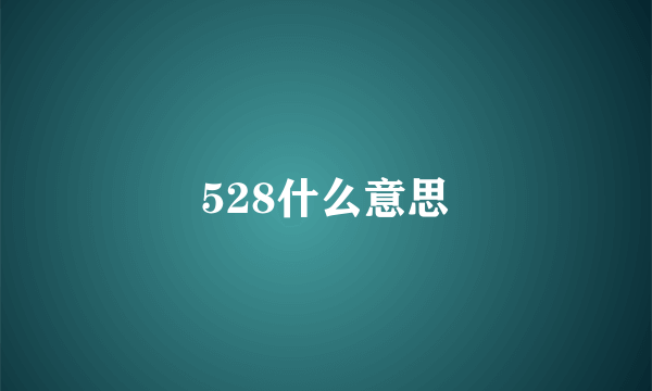 528什么意思