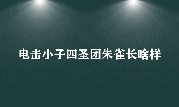 电击小子四圣团朱雀长啥样