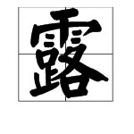 露组词多音字组词。。