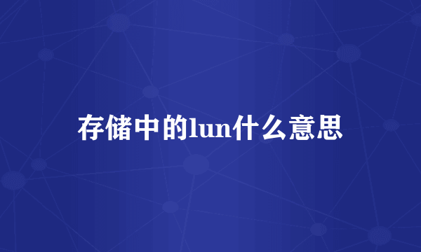 存储中的lun什么意思